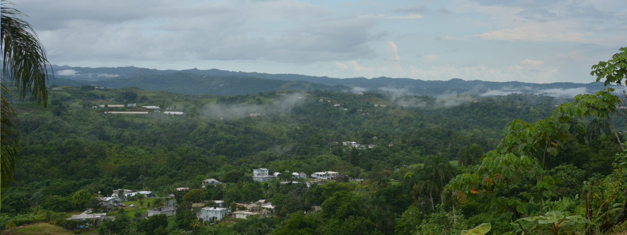 Panorama de tierras y comunidades.